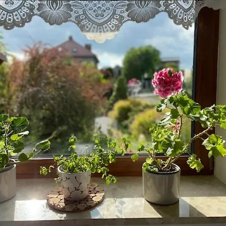 公寓 Agroturystyka Zacisze Kaniow Bachowice